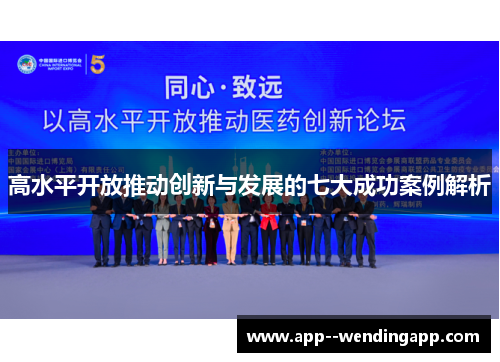 高水平开放推动创新与发展的七大成功案例解析