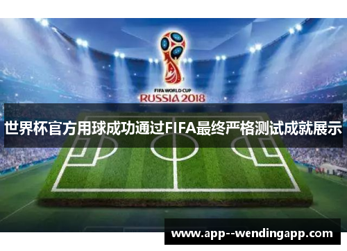 世界杯官方用球成功通过FIFA最终严格测试成就展示
